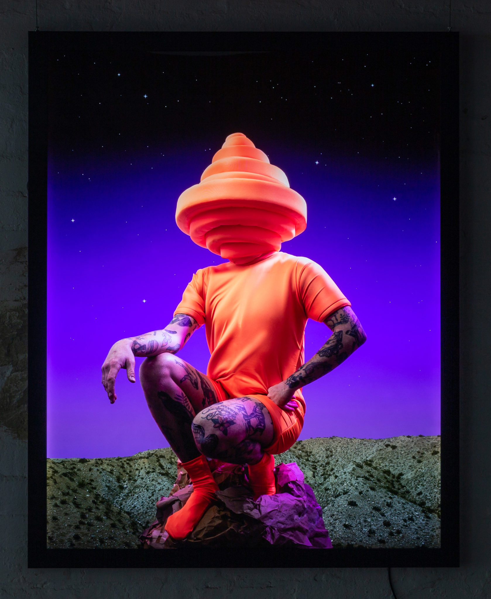 Gerwyn Davies Artist at Michael Reid Gallery